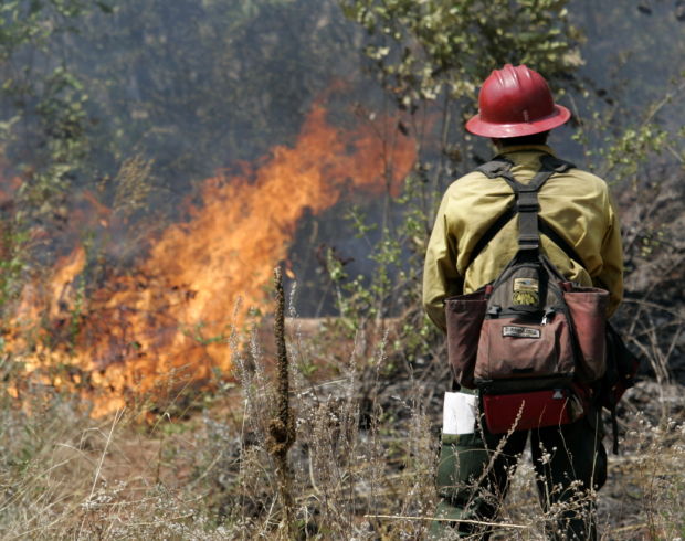 The Brins Fire in 2006